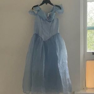 Cinderella Dress